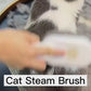 1.mp4